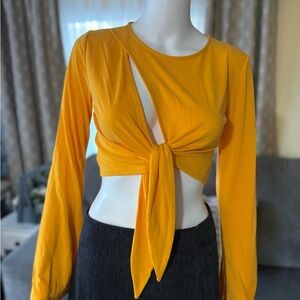 Urban Outfitters Mustard Long Sleeve Tie-Front Crop Top